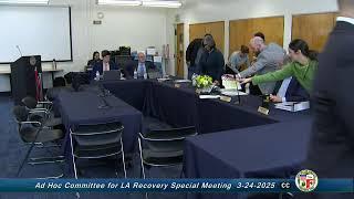 Ad Hoc Committee for LA Recovery - SAP - Mar 24, 2025 10:00 AM