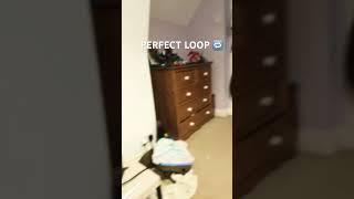 New perfect loop #perfectloop #loop #satisfyingloop #youtube #shorts