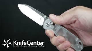 Kizer Cutlery Vanguard Azo Drop Bear Clutch Lock Folding Knife