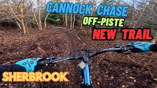 Brand New off piste trail at Cannock Chase