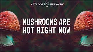 Mushrooms Are Hot Right Now