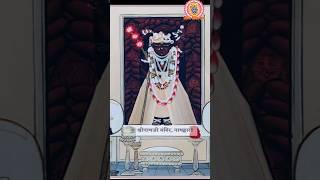 Shrinathji Darshan. 18 MAY 2025.  Nathdwara Temple. #shorts #video #viralvideo #shrinathji #darshan