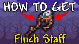 How to Get Finch Staff in Terraria 1.4.4.9 | Finch Staff Terraria