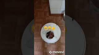 ##Помощник#syper 
