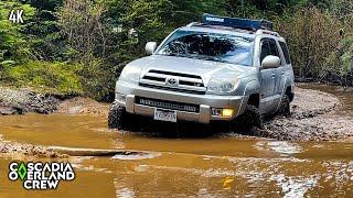 Are 4Runners good for OFFROADING? (watch and find out!) @Beacon_Offroad @heradventurelife