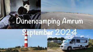 Dünencampingplatz auf Amrum 24, Camping mit 2 Katzen