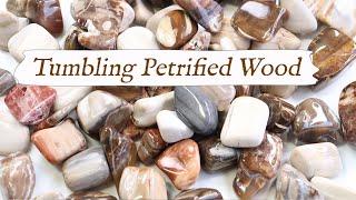  Rock Tumbling PETRIFIED WOOD  From Start to Finish! | Rotary Rock Tumbling Tips & Techniques