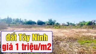 Khảo sát thị trường Bất động sản Tây Ninh - giá rẻ liệu có tiềm năng để đầu tư