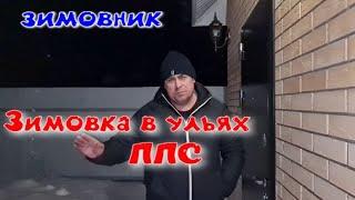 Конец февраля. В ульях ППС расплода пока нет. Зимовка в ульях ППС и ППУ в зимовнике.