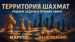 Выживание - три ошибки и все lichess.org #shorts #chess #шахматы #shorts #обучение