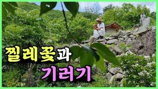 스님의 찔레꽃 노래 / 돌아온 장똘이?! / 초여름의 풍경