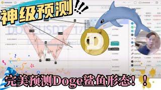 老铁神级预测doge鲨鱼形态