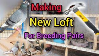 How to build a cage for pigeons | How to make pigeon house | Racing pigeon loft