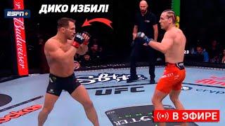 НОКАУТ ГОДА!? Полный бой Майкл Чендлер - Пэдди Пимблетт. Прямая Трансляция UFC 314. Прямой Эфир UFC