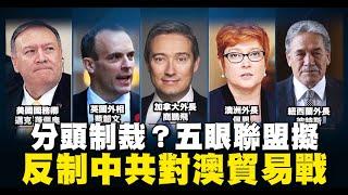 五眼聯盟擬反制中共對澳貿易戰