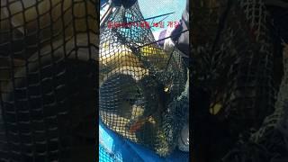 설동낚시터 3월 18일 노지 낚시 개장 하우스와 병행 운영하니 참고하세요