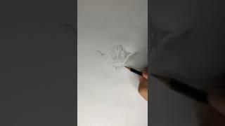 Episode 1 Yoda timelapse drawing #yoda #jedi #master #thephantom #menace