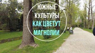 Парк Южные Культуры | Адлер