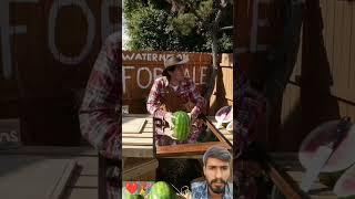 #shortvideo getmyharvest,️ #harvestlife #tequila #gardening #healthyharvest 