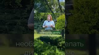 Покупатель не платит за отделку #artecology #комплексноепроектирование#андрейбугаев#shortsvideo