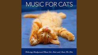 Music For Cats