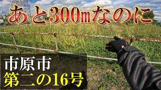 [Ichihara City] After 35 years, the long-awaited opening of the "Second Route 16" is in full swing