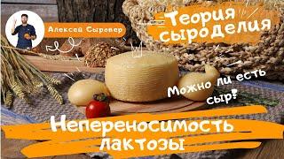 Непереносимость лактозы.  Можно ли есть сыр?