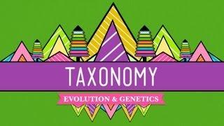 Taxonomy: Life's Filing System - Crash Course Biology #19