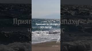 Мухаммад (С) Лучший человек кагда Либо живший на этом свете...