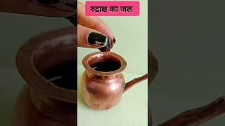 रोग मुक्ति रुद्राक्ष उपाय  । रुद्राक्ष का जल पीने का तरीका।। #viral #pradeepmishra #youtubeshorts