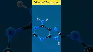Adenine Structure 3D@Akhil_Classes