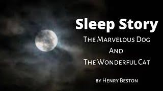The Marvelous Dog And The Wonderful Cat | Fairy tale for Sleep | Sleep Story