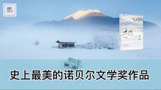 《雪国》史上最美的诺贝尔文学奖作品【youtube字幕】| 好书精读推荐，见识决定格局，读书改变命运