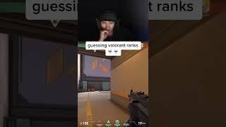 SINATRAA GUESSING VALORANT RANKS 
