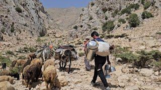 IRAN nomadic life | Migration to the highlands because of grass for sheep | Difficult roads