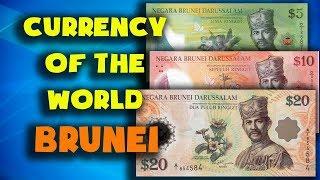 Currency of the world - Brunei. Brunei ringgit. Exchange rates Brunei. Brunei banknotes,Brunei coins