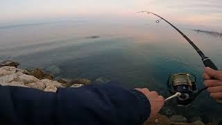 Seabass fishing on topwater lure Jack Fin Stylo 150