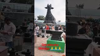 Om namah shivaya. #omnamahshivay #trending #harharmahadev #kotilingeshwara #kotilingeshwaratemple