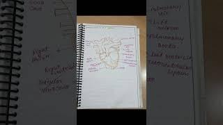 congenital heart defect notes # viral short video # child health nursing # bsc nursing 5 and 6 sem