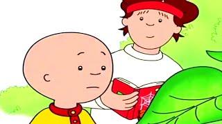 Caillou und das Naturbuch | Caillou auf Deutsch