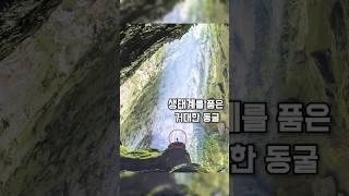 길이 9km, 동굴 안에 정글이 자랍니다