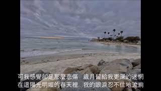 春天裡 ｜原作汪鋒       演唱/吉他 沈雁冰