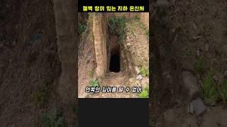 절벽 창이 있는 지하 은신처