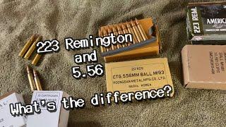 223 Remington and 5.56 - What's the Difference?