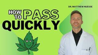 How to pass a marijuana test based on science - Doctor's advice