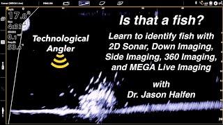 Is that a fish? \ How to identify fish with sonar \ The Technological Angler