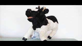 Moozika! - Moove to the Moozika!