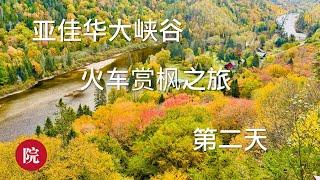 【彬彬有院】行 • 1132 乘火车到达亚佳华大峡谷赏枫，看漫山遍野的红叶；告诉你乘火车最好的位置，沿途千万不要错过的重要景点，完成多年来小小的愿望/Agawa Canyon train Tour