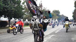 MLK Bike Life Rideout 2022 L.A Bikelife Part 1 (@nationwidebikelife)