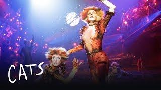 Macavity the Mystery Cat Part 2 | Cats the Musical